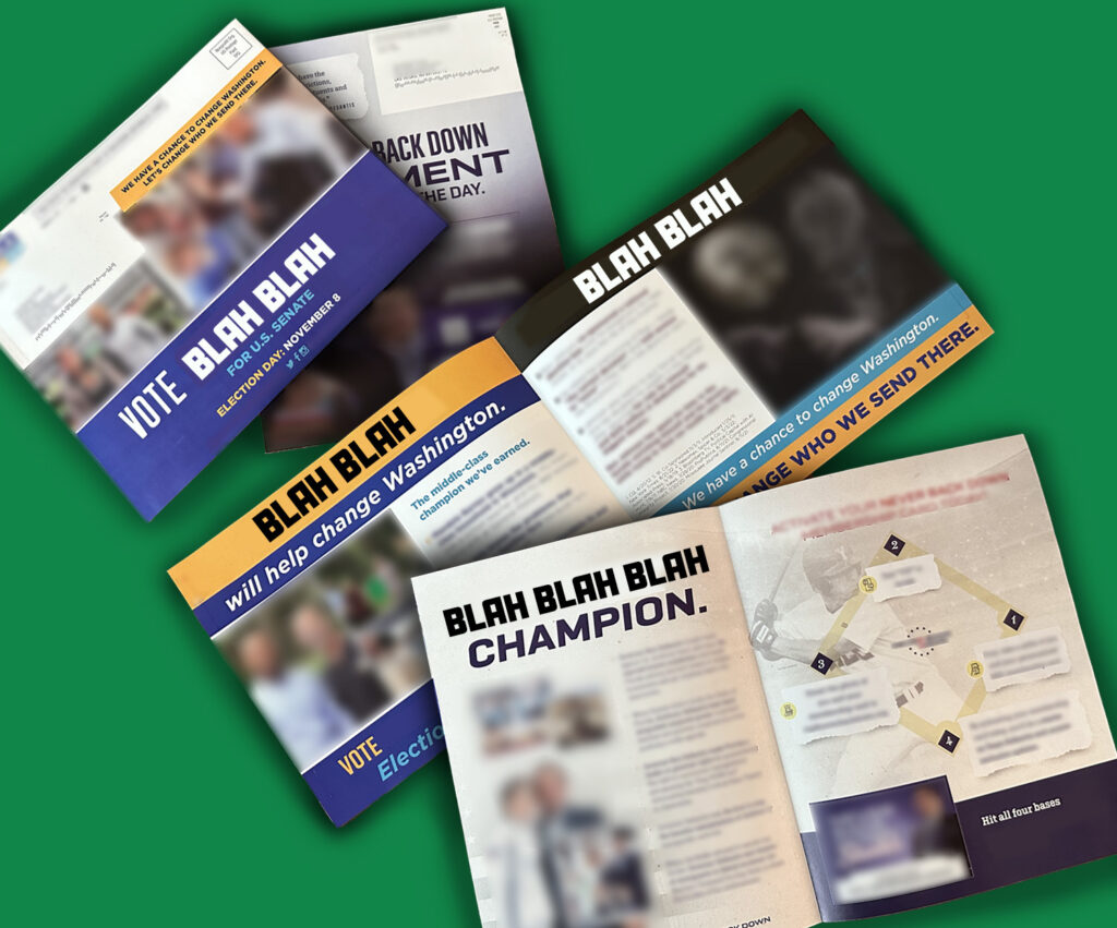 8.5x11 Folded Self Mailer - Versatile and detailed, a folded self mailer for impactful political messaging